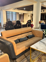 Rexine sofa