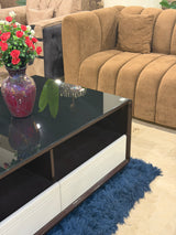 Modern Black Glass Top Coffee Table with Dual Drawers