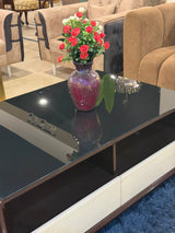 Modern Black Glass Top Coffee Table with Dual Drawers